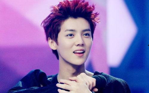 头号爆料杨紫鹿晗视频,甜蜜瞬间引网友热议