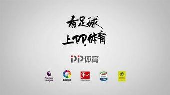 pp体育最新爆料,最新体育赛事动态揭秘